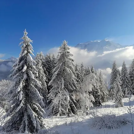 Le Cocon Du Bettex 1400 - Cozy Near Mont Blanc Apartment Saint-Gervais-les-Bains