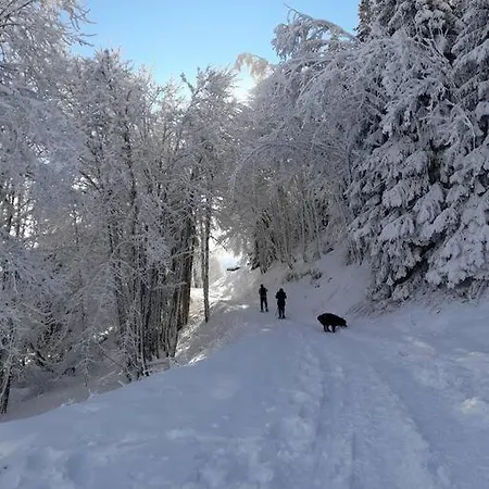 Apartment Le Cocon Du Bettex 1400 - Cozy Near Mont Blanc